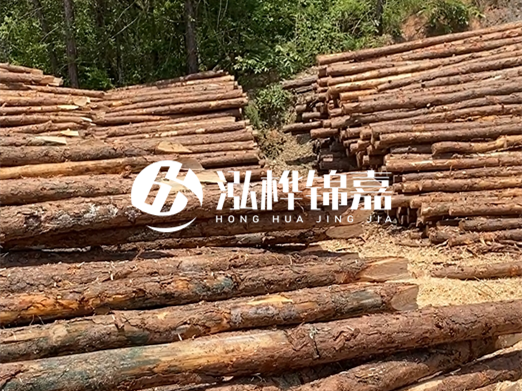 松木樁的運(yùn)輸費(fèi)用是否包含卸車費(fèi)？卸貨時(shí)需要注意哪些安全問題？
