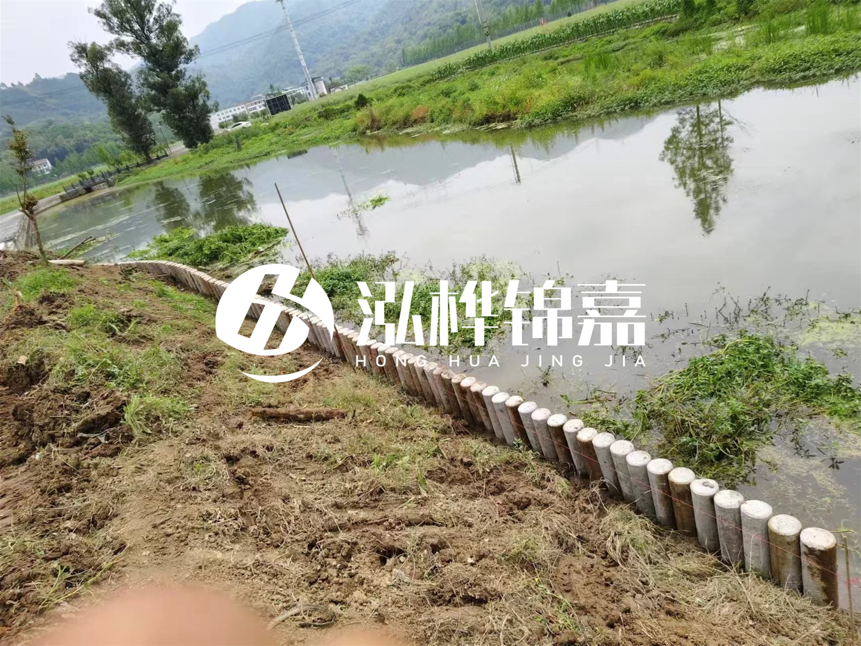松木樁加固河道與水泥樁對比如何？哪一種更加適合您？