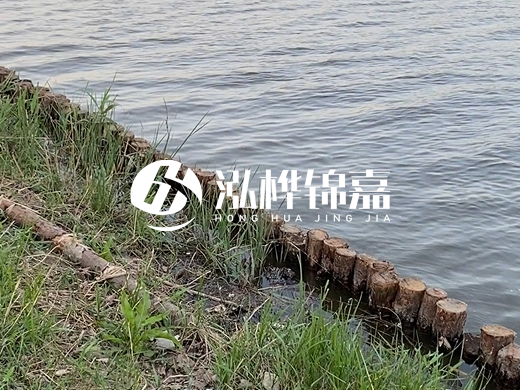 防洪松木樁施工重要性?河道打木樁的位置怎么確定?