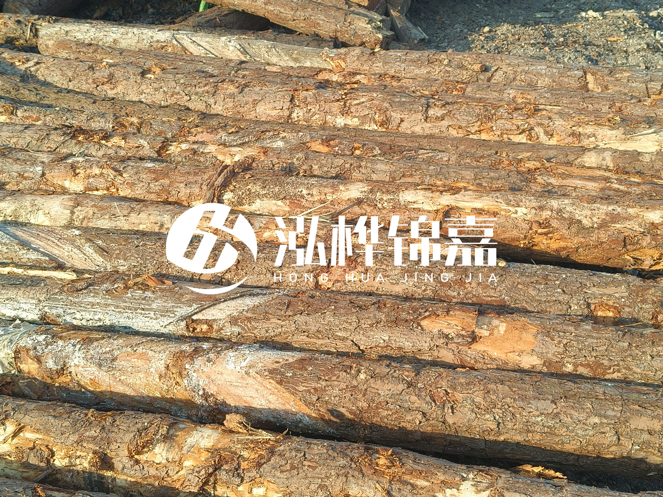 河道木樁的含水率過高會有什么問題?怎么檢查松木樁含水率?