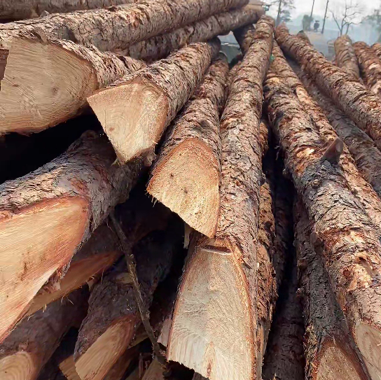 松木樁施工隊(duì)泓樺錦嘉 - 原木松木樁怎么辨別是否為實(shí)心？