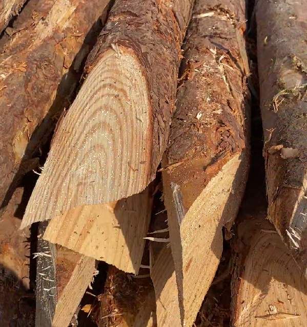 松木樁施工隊泓樺錦嘉 - 原木松木樁的最低起訂量是多少？