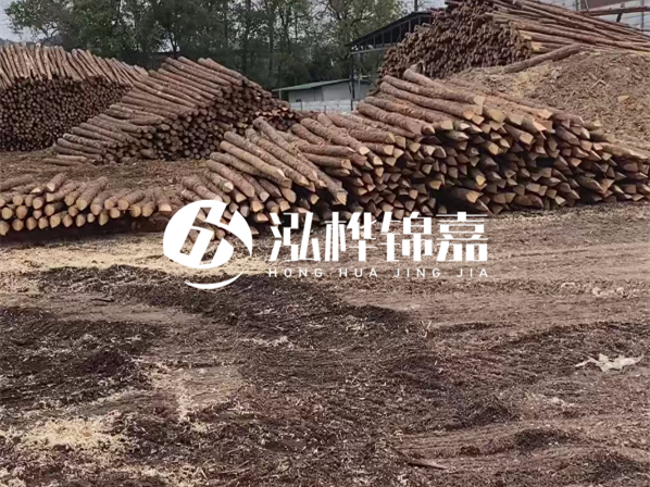 松木樁施工隊泓樺錦嘉-河道駁岸樁選擇松木還是水泥材質更合適？