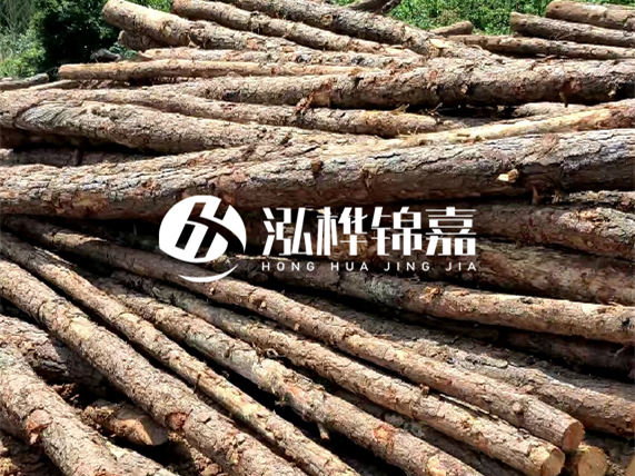 松木樁施工隊泓樺錦嘉 - 松木樁施工起什么效果？