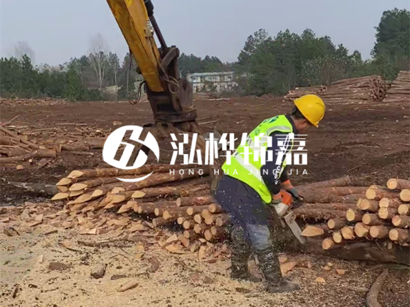 松木樁施工隊泓樺錦嘉 - 松木打樁在水里管幾年？