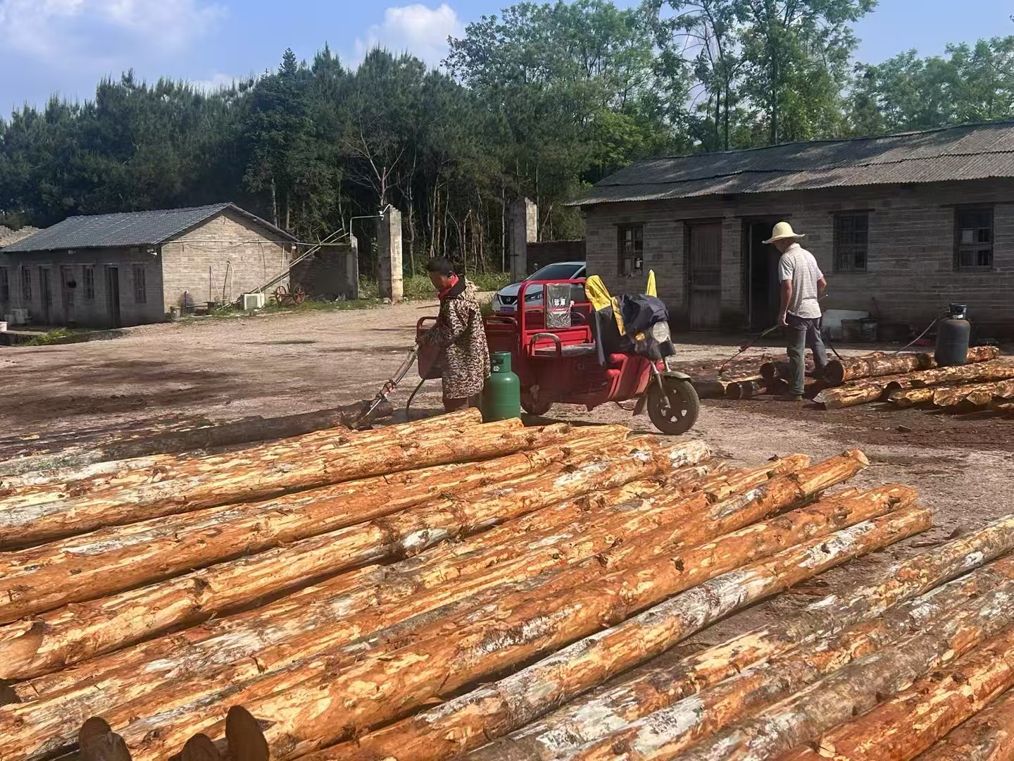 松木樁施工隊(duì)泓樺錦嘉 - 建房子地基打木樁靠譜嗎？