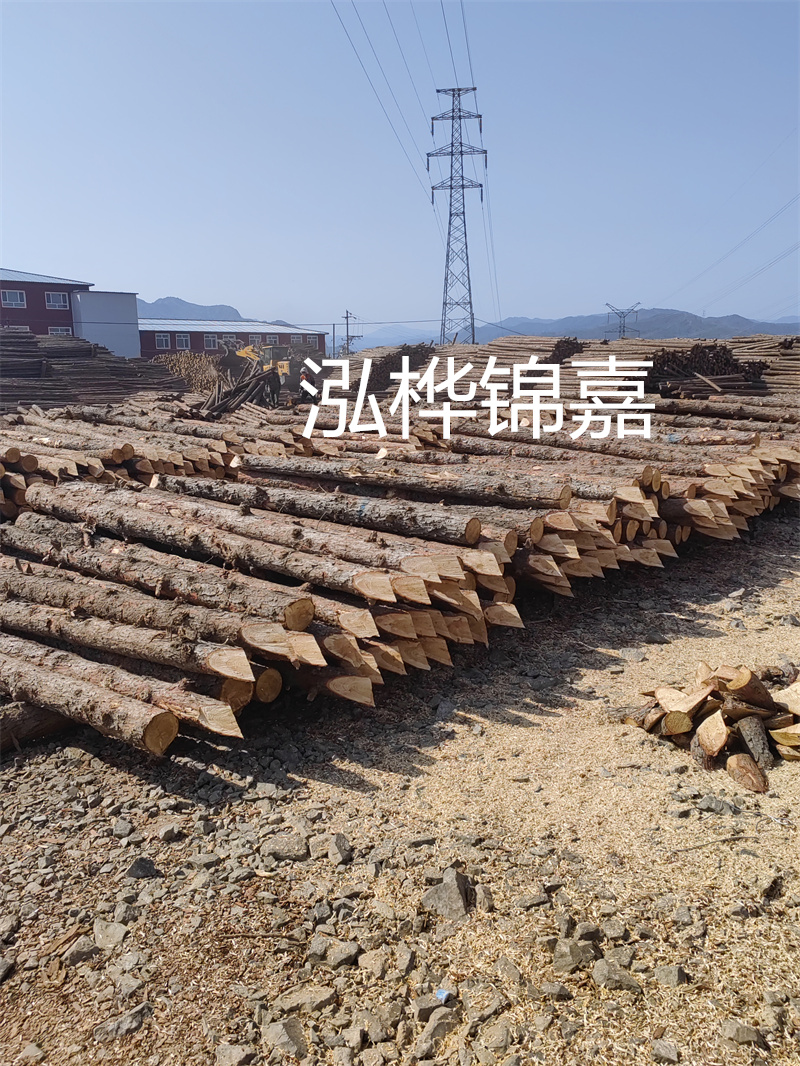 深入了解松木樁基礎(chǔ)施工單價，助力工程建設(shè)順利進(jìn)行！